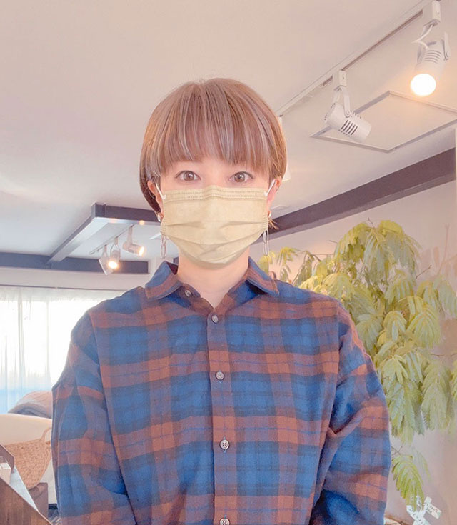 フィカスオーナーの画像